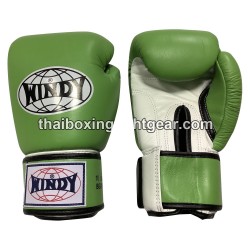 Windy Thaiboxing Gloves BGVH Velcro Green White | Gloves