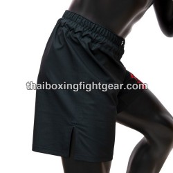 \Short de boxe MMA Fairtex AB13 Wild | Shorts