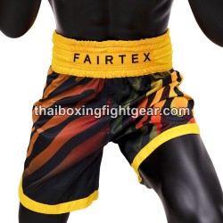 Fairtex BT2002 Muay Thai Boxing Shorts | Shorts
